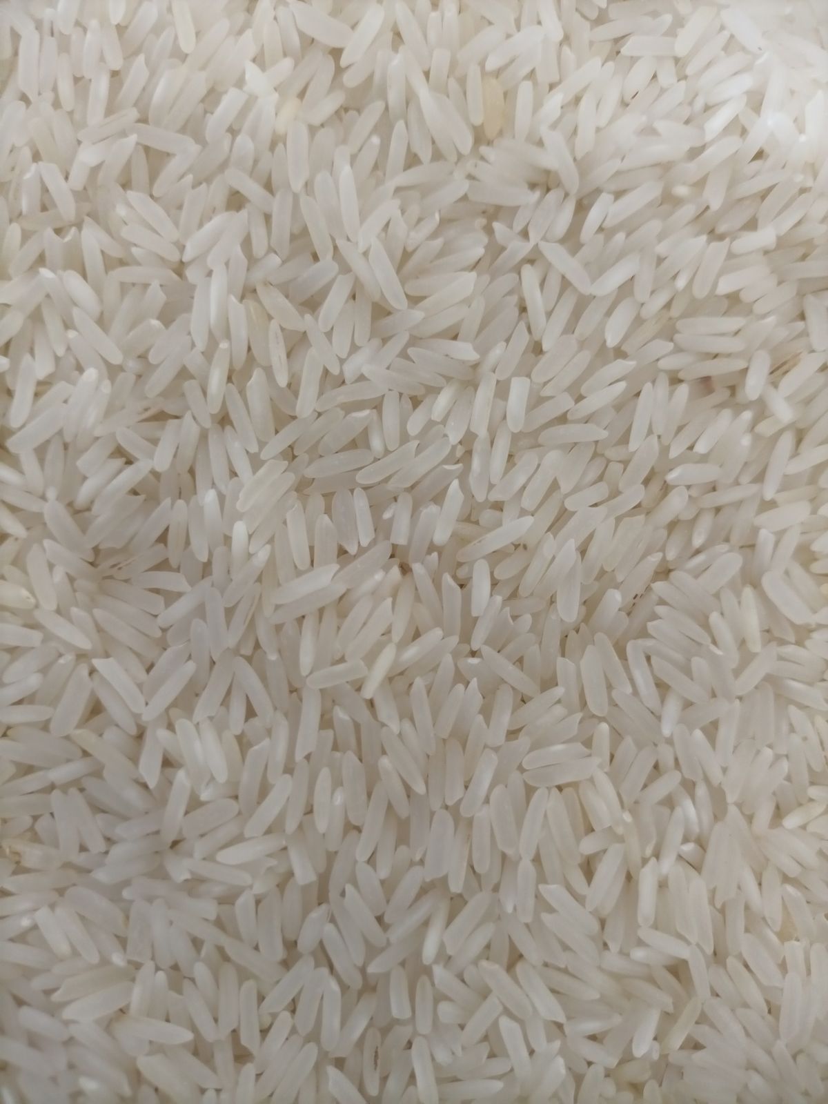 Premium Basmati Rice — 25 kg Bag