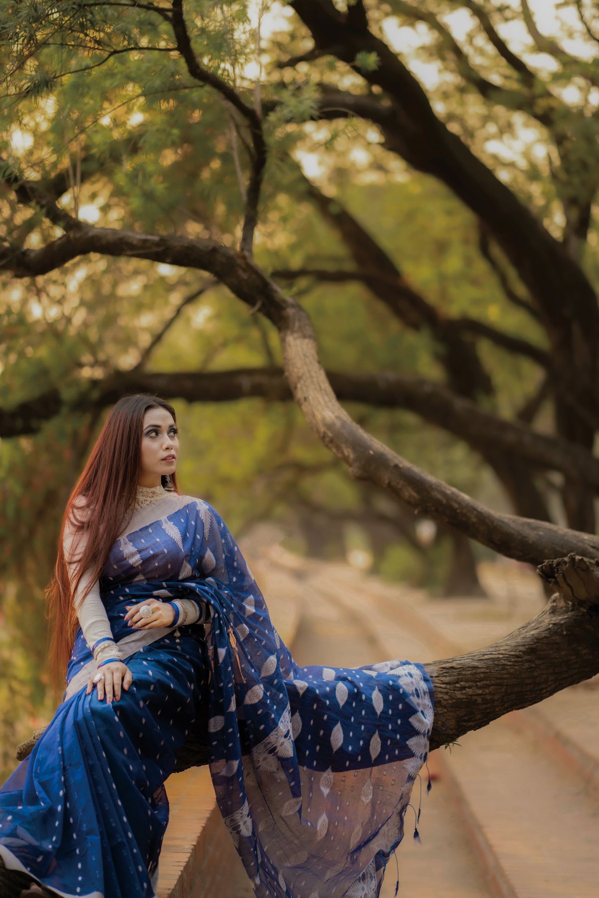 Indigo Bagru Cotton Saree