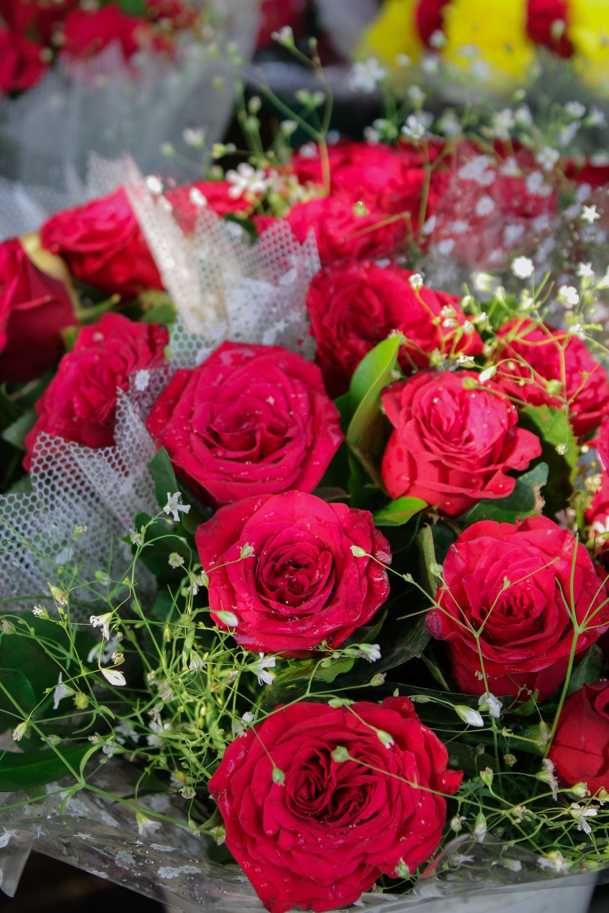 Pink Roses Bouquet