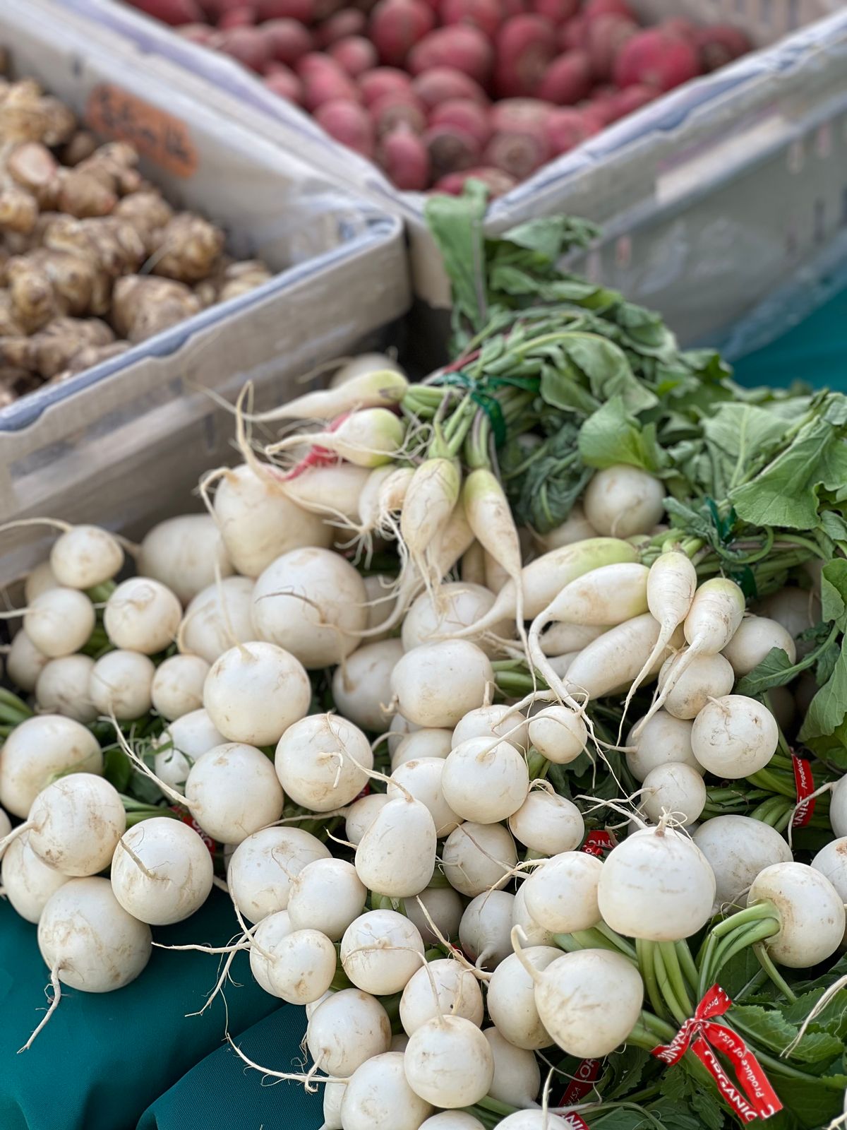 White Radish (Mullangi)