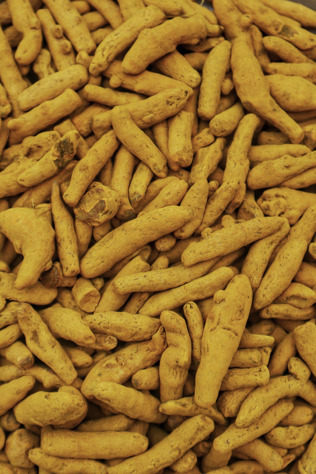 Fresh Turmeric Roots