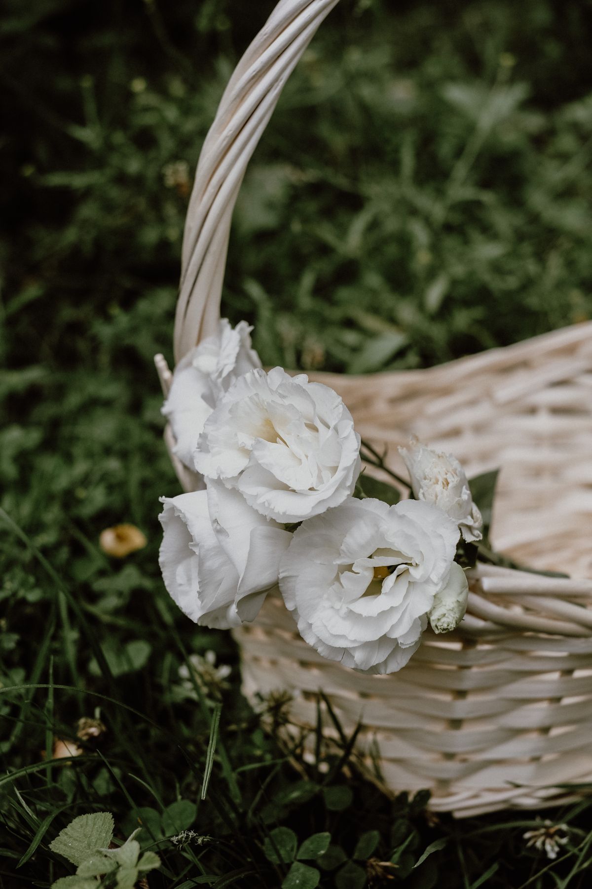 White Roses Basket