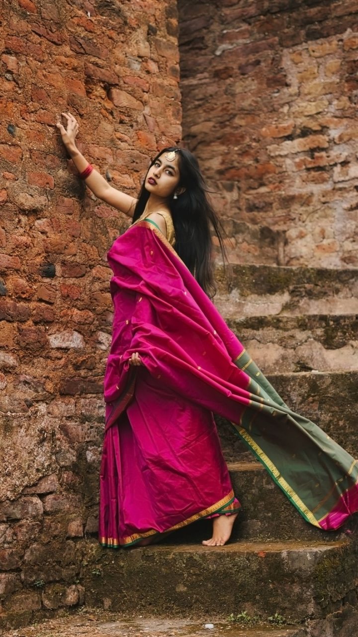 Gadwal weaves